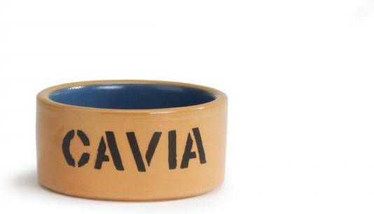 Beeztees Caviabak Cavia 11.5 Geglaz.