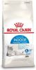 Royal Canin Indoor Appetite Control kattenvoer 2 x 4 kg online kopen