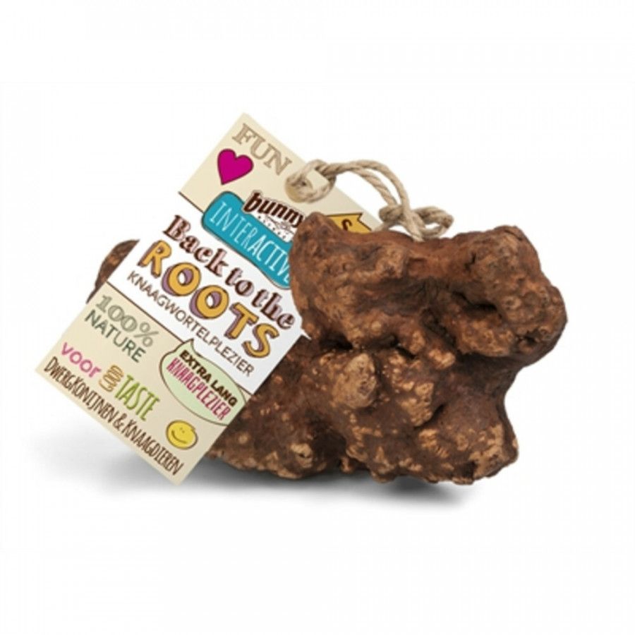 Bunny Nature Bunny Knaagwortel