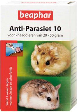 Beaphar Anti Parasiet 10 Knaag Parasieten 2 pip 20 50 G
