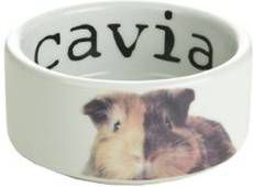 Beeztees Keram Eetbak Snapshot Cavia 10x4