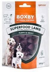 Boxby Superfood 120 g Hondensnacks Lam&Biet&Brandnetel