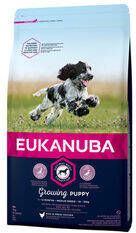 Eukanuba Dog Puppy Medium Breed 2 x 12 kg