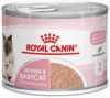 Royal Canin Mother & Babycat Mousse 12 x 195 g online kopen