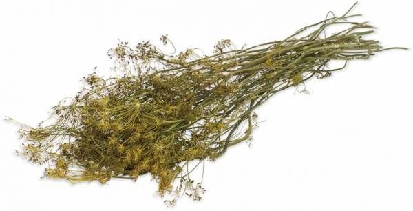 JR Farm Dille Oogst Ruwvoer 5 x 16 x 70 cm 80 g