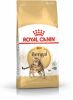 Royal Canin Breed 2x10kg Bengal Adult Kattenvoer online kopen