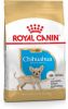 Royal Canin Chihuahua Puppy Hondenvoer 500 g online kopen