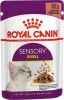 Royal Canin Sensory Multipack Smell In Gravy Kattenvoer 12x85 g online kopen