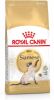 Royal Canin Siamese Adult Kattenvoer 2 kg online kopen