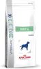 Royal Canin Veterinary Diet Dental Medium&Large Breed Adult Hondenvoer 13 kg online kopen