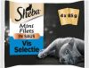 Sheba 13x Delice Pouch Vis Selectie Multipack 340 gr online kopen