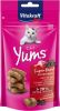 Vitakraft Cat Yums 40 g Kattensnack Vlierbessen online kopen