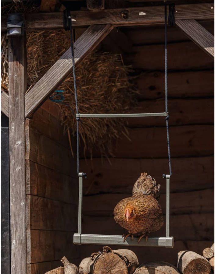 Beeztees Kippenschommel Kippenspeeltje 40x5x30 cm Grijs Groen