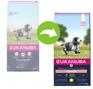Eukanuba 15% korting! Caring Senior Large Breed Kip Hondenvoer Senior Medium Breed Kip 15 kg