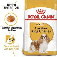 Royal Canin Breed 2x7, 5kg Cavalier King Charles Adult Hondenvoer