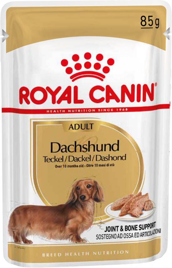 Royal Canin Dachshund Adult Hondenvoer Bestel ook natvoer 12 x 85 g Royal Canin Teckel Adult