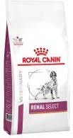 Royal Canin Veterinary Diet Renal Select hondenvoer 2 x 10 kg